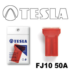 ������ �������������� Tesla �������������� ������������ ���� FJ10 50� | ������