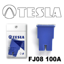 ������ �������������� Tesla �������������� ������������ ���� FJ08 100� | ������