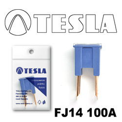 ������ �������������� Tesla �������������� ������������ ���� FJ14 100� | ������