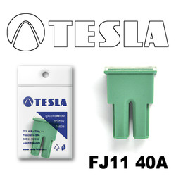 ������ �������������� Tesla �������������� ������������ ���� FJ11 40� | ������