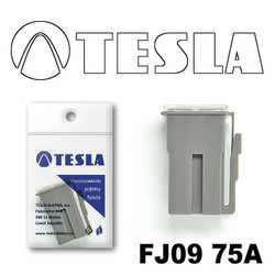 ������ �������������� Tesla �������������� ������������ ���� FJ09 75� | ������