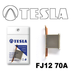 ������ �������������� Tesla �������������� ������������ ���� FJ12 70� | ������