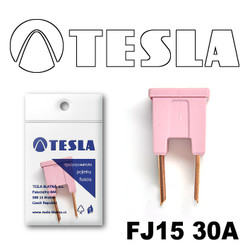 ������ �������������� Tesla �������������� ������������ ���� FJ15 30� | ������