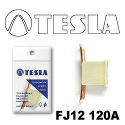 ������ �������������� Tesla �������������� ������������ ���� FJ12 120� | ������