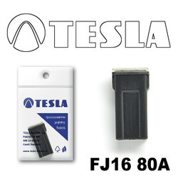 ������ �������������� Tesla �������������� ������������ ���� FJ16 80� | ������
