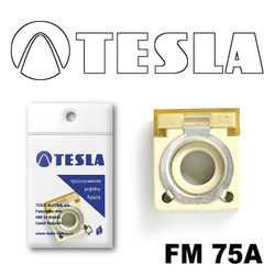������ �������������� Tesla �������������� ���������� FM  75A | ������