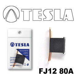 ������ �������������� Tesla �������������� ������������ ���� FJ12 80� | ������