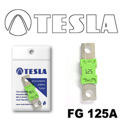 ������ �������������� Tesla �������������� MEGA 125A | ������