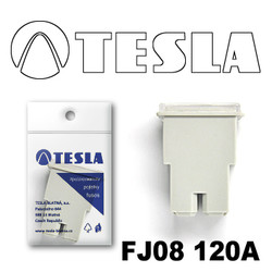 ������ �������������� Tesla �������������� ������������ ���� FJ08 120� | ������