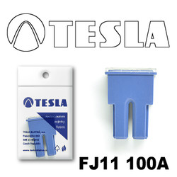 ������ �������������� Tesla �������������� ������������ ���� FJ11 100� | ������