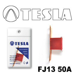 ������ �������������� Tesla �������������� ������������ ���� FJ13 50� | ������