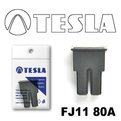 ������ �������������� Tesla �������������� ������������ ���� FJ11 80� | ������