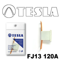 ������ �������������� Tesla �������������� ������������ ���� FJ13 120� | ������