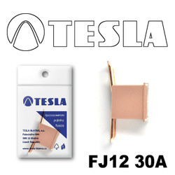 ������ �������������� Tesla �������������� ������������ ���� FJ12 30� | ������