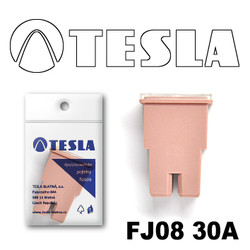������ �������������� Tesla �������������� ������������ ���� FJ08 30� | ������