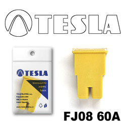 ������ �������������� Tesla �������������� ������������ ���� FJ08 60� | ������