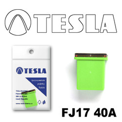 ������ �������������� Tesla �������������� ������������ ���� FJ17 40� | ������