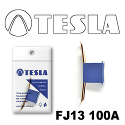 ������ �������������� Tesla �������������� ������������ ���� FJ13 100� | ������