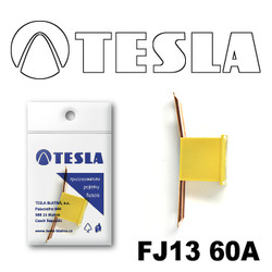 ������ �������������� Tesla �������������� ������������ ���� FJ13 60� | ������