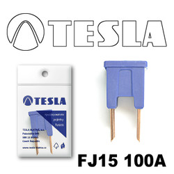 ������ �������������� Tesla �������������� ������������ ���� FJ15 100� | ������