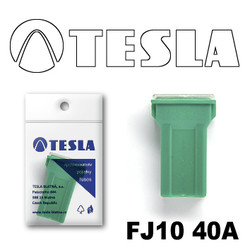 ������ �������������� Tesla �������������� ������������ ���� FJ10 40� | ������
