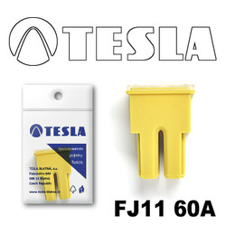 ������ �������������� Tesla �������������� ������������ ���� FJ11 60� | ������
