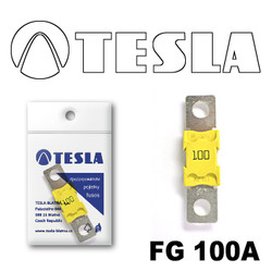 ������ �������������� Tesla �������������� MEGA 100A | ������