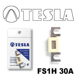 ������ �������������� Tesla �������������� ��������� � ���������� 30� | ������