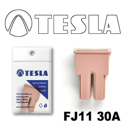 ������ �������������� Tesla �������������� ������������ ���� FJ11 30� | ������