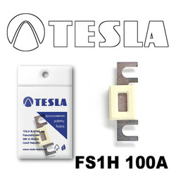 ������ �������������� Tesla �������������� ��������� � ���������� 100� | ������