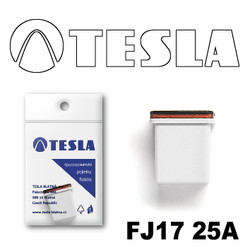 ������ �������������� Tesla �������������� ������������ ���� FJ17 25� | ������