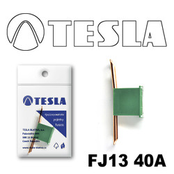 ������ �������������� Tesla �������������� ������������ ���� FJ13 40� | ������