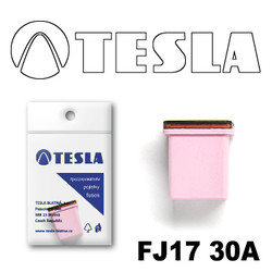 ������ �������������� Tesla �������������� ������������ ���� FJ17 30� | ������