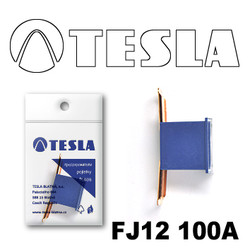 ������ �������������� Tesla �������������� ������������ ���� FJ12 100� | ������
