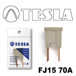 ������ �������������� Tesla �������������� ������������ ���� FJ15 70� | ������