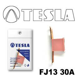 ������ �������������� Tesla �������������� ������������ ���� FJ13 30� | ������