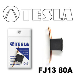 ������ �������������� Tesla �������������� ������������ ���� FJ13 80� | ������