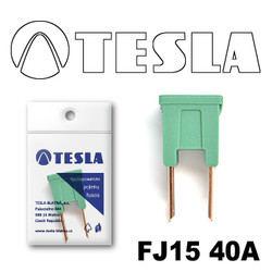 ������ �������������� Tesla �������������� ������������ ���� FJ15 40� | ������