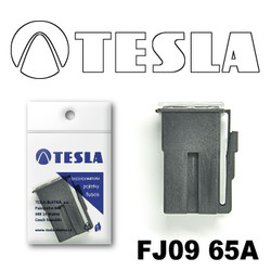 ������ �������������� Tesla �������������� ������������ ���� FJ09 65� | ������