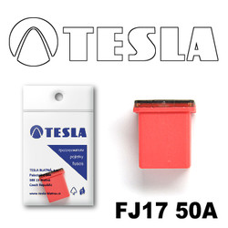 ������ �������������� Tesla �������������� ������������ ���� FJ17 50� | ������