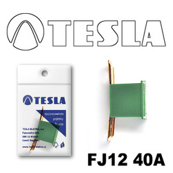 ������ �������������� Tesla �������������� ������������ ���� FJ12 40� | ������