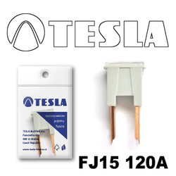 ������ �������������� Tesla �������������� ������������ ���� FJ15 120� | ������