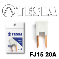 ������ �������������� Tesla �������������� ������������ ���� FJ15 20� | ������