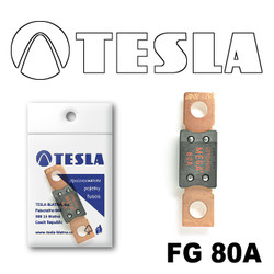 ������ �������������� Tesla �������������� MEGA 80A | ������