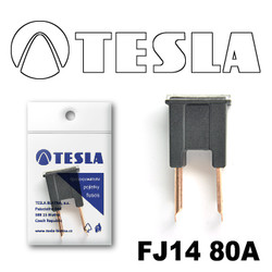 ������ �������������� Tesla �������������� ������������ ���� FJ14 80� | ������