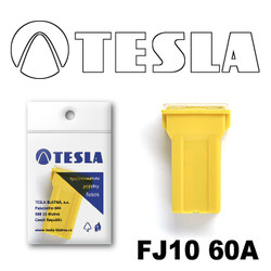 ������ �������������� Tesla �������������� ������������ ���� FJ10 60� | ������