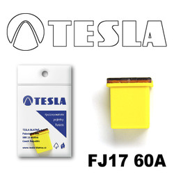 ������ �������������� Tesla �������������� ������������ ���� FJ17 60� | ������