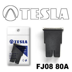 ������ �������������� Tesla �������������� ������������ ���� FJ08 80� | ������