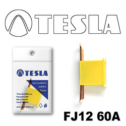 ������ �������������� Tesla �������������� ������������ ���� FJ12 60� | ������