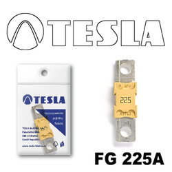 ������ �������������� Tesla �������������� MEGA 225A | ������